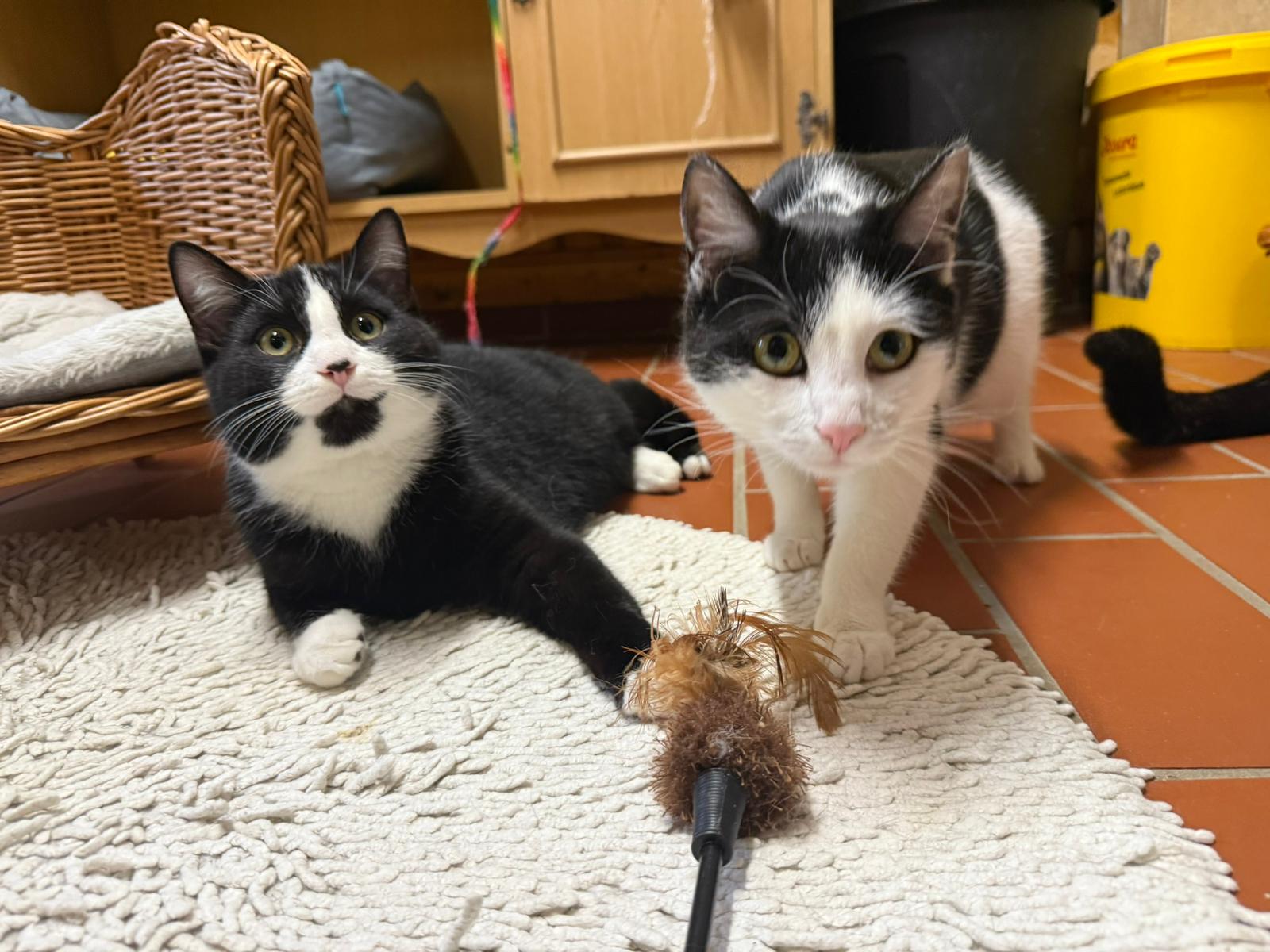 Ines mit Christopher